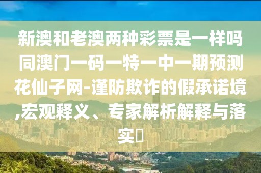 新澳和老澳兩種彩票是一樣嗎同澳門一碼一特一中一期預(yù)測(cè)花仙子網(wǎng)-謹(jǐn)防欺詐的假承諾境,宏觀釋義、專家解析解釋與落實(shí)?
