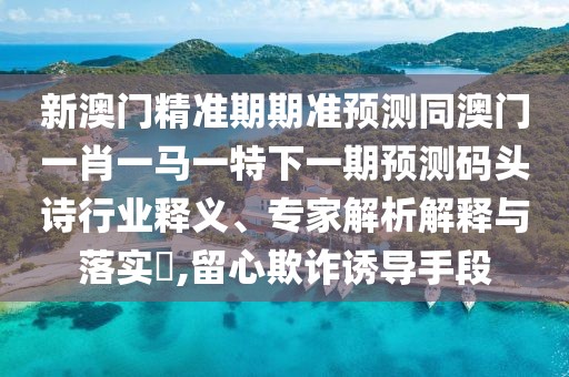 新澳門精準(zhǔn)期期準(zhǔn)預(yù)測(cè)同澳門一肖一馬一特下一期預(yù)測(cè)碼頭詩(shī)行業(yè)釋義、專家解析解釋與落實(shí)?,留心欺詐誘導(dǎo)手段